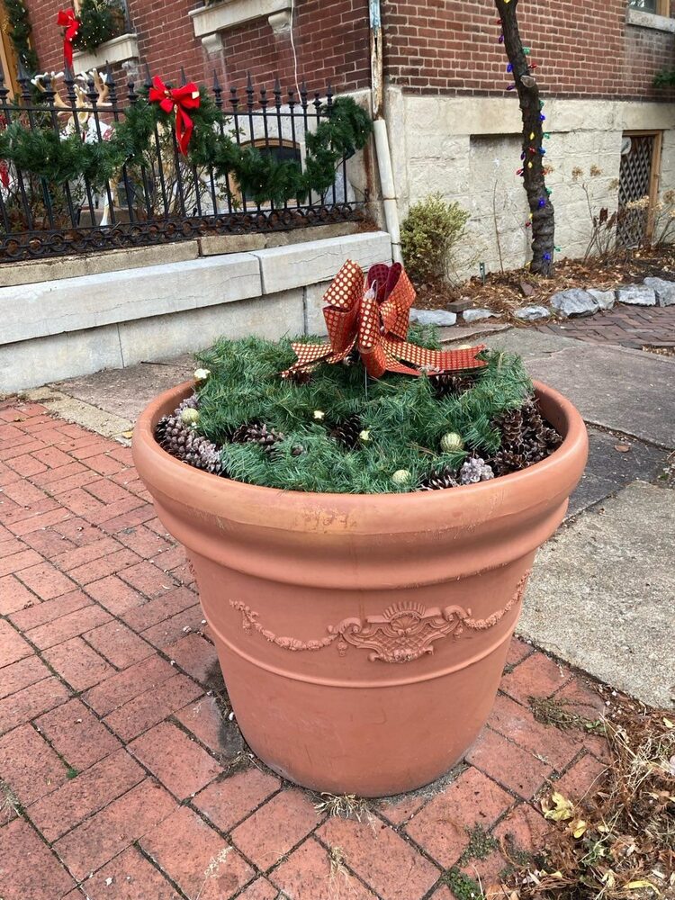 Winter Pots